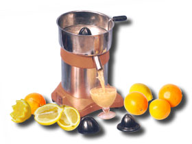 Citrus juicer